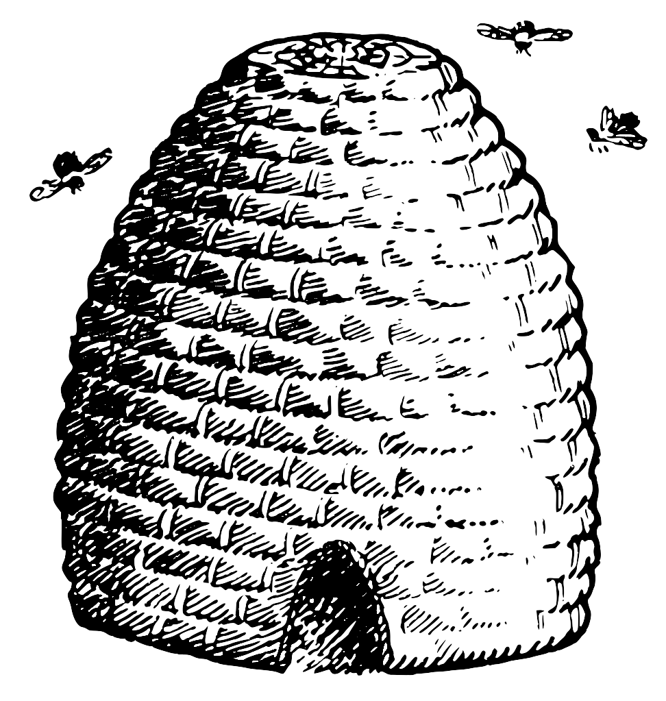 Brook Farm Institute