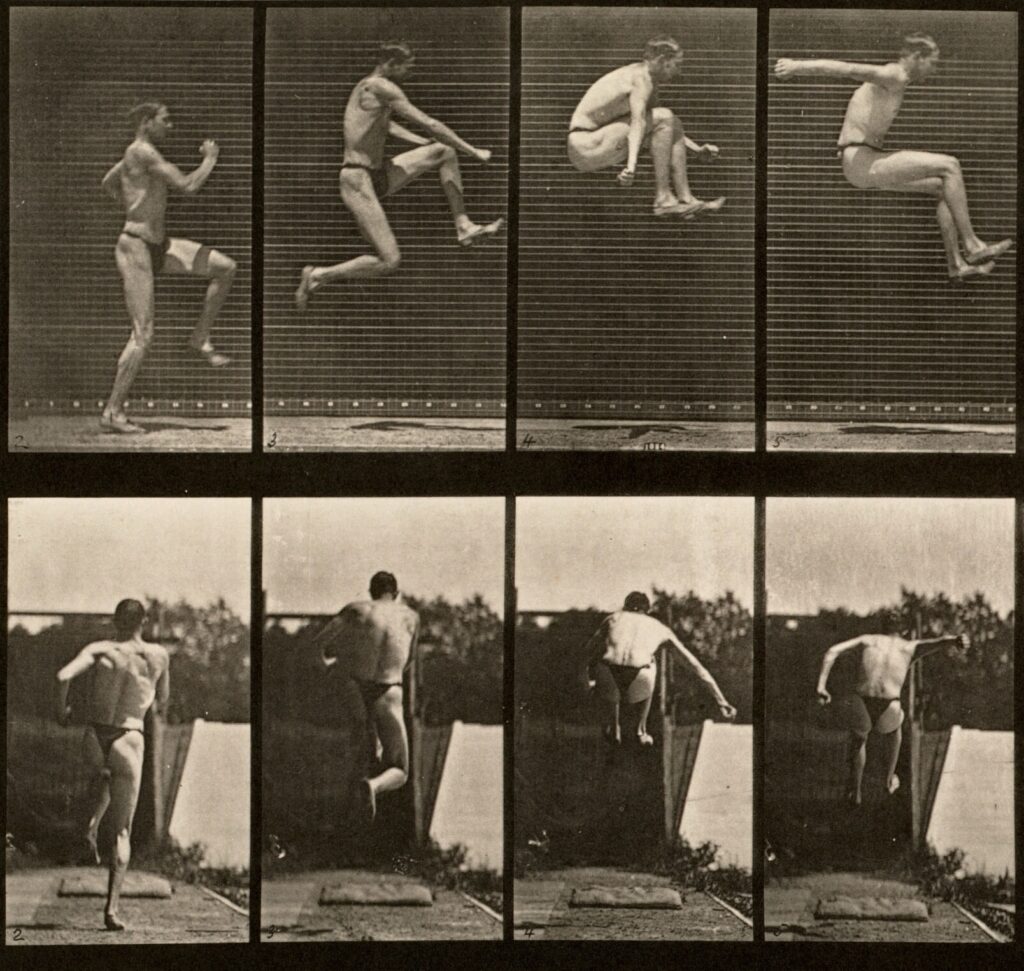 Eadweard Muybridge, Animal Locomotion: An Electro-Photographic Investigation of Consecutive Phases of Animal Movements (1887), Plate 160