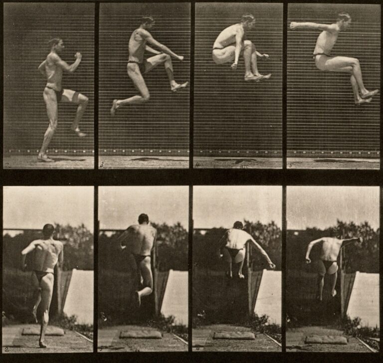 Eadweard Muybridge, Animal Locomotion: An Electro-Photographic Investigation of Consecutive Phases of Animal Movements (1887), Plate 160
